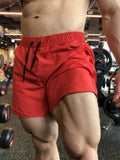 Men's Performance Gym Shorts